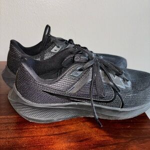 Men’s Nike Pegasus shoes